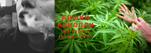 дурь Лабытнанги