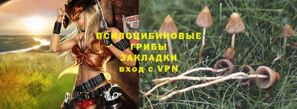 дурь Лагань