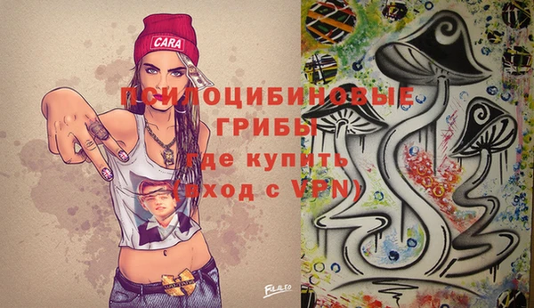 дурь Лагань