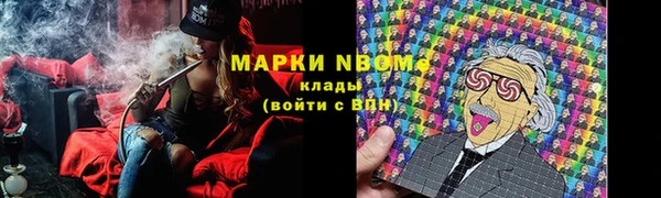 дурь Лабытнанги