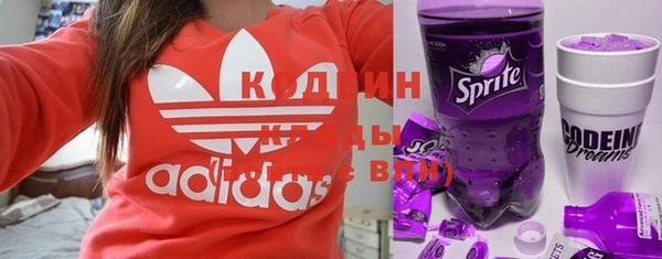 дурь Лабытнанги