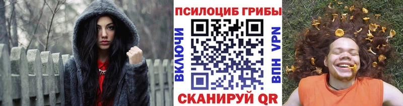 Псилоцибиновые грибы прущие грибы Старая Русса