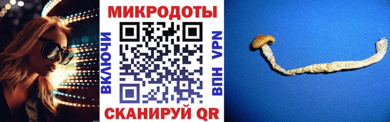 Купить закладки  Старая Русса  Псилоцибиновые грибы MAGIC MUSHROOMS 